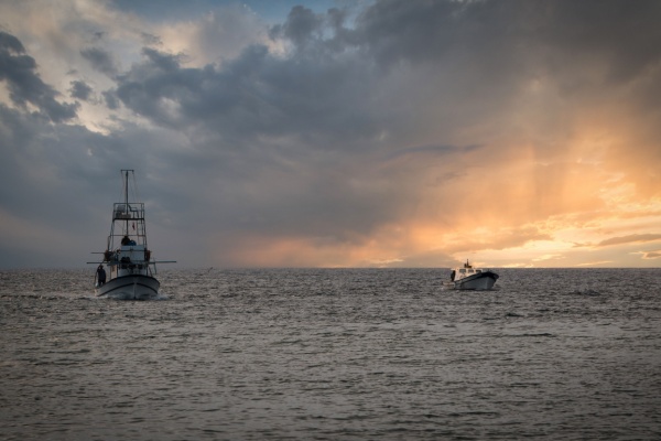 Licence de pêche européenne : rester actif pour conserver ses droits